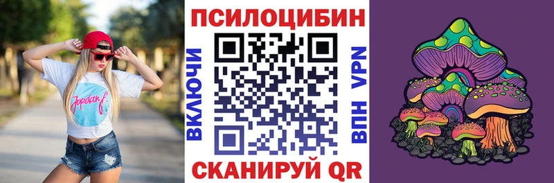 магазин продажи наркотиков  Тбилисская  Псилоцибиновые грибы мухоморы 